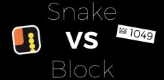 Snake VS Block